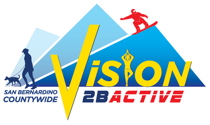 Vision Initives County Vision Initiatives – Community Vital Signs Initiative